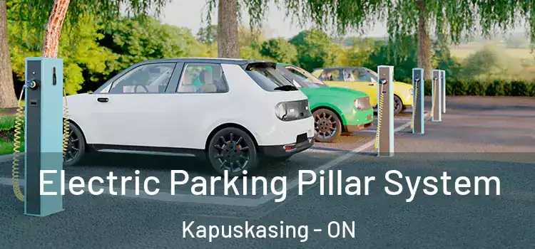 Electric Parking Pillar System Kapuskasing - ON