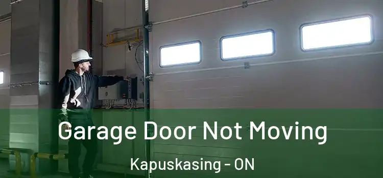  Garage Door Not Moving Kapuskasing - ON